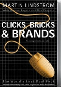 Clicks-Bricks and Brands - Martin Lindstrom Book