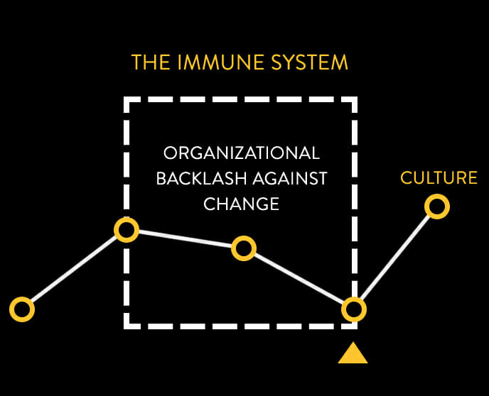 Animation of the Immune System